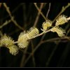 20050402_008